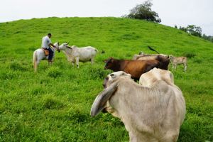 Finca-Los-Gallardos-La-Canter-Sta.-Fe-66